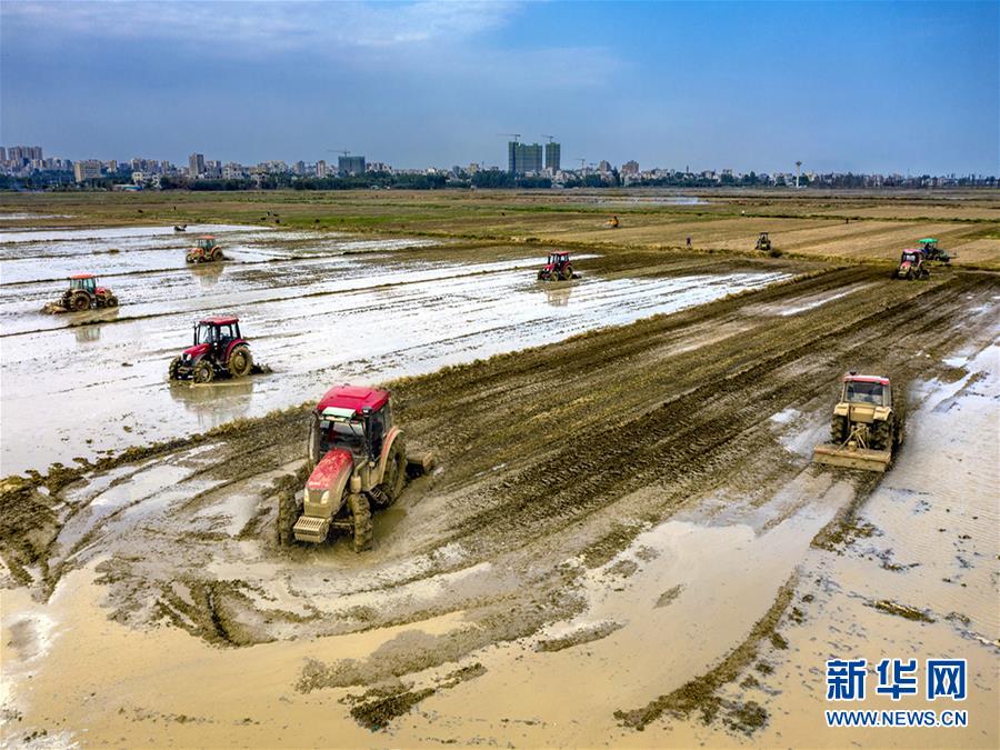 （圖文互動）讓&ldquo;世界工廠&rdquo;心不慌&mdash;&mdash;廣東春耕生產見聞