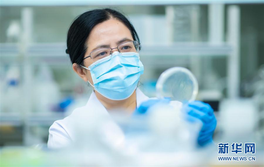 （習近平致敬的戰(zhàn)&ldquo;疫&rdquo;英雄&middot;科技工作者篇&middot;圖文互動）（4）他們，爭分奪秒與病魔較量