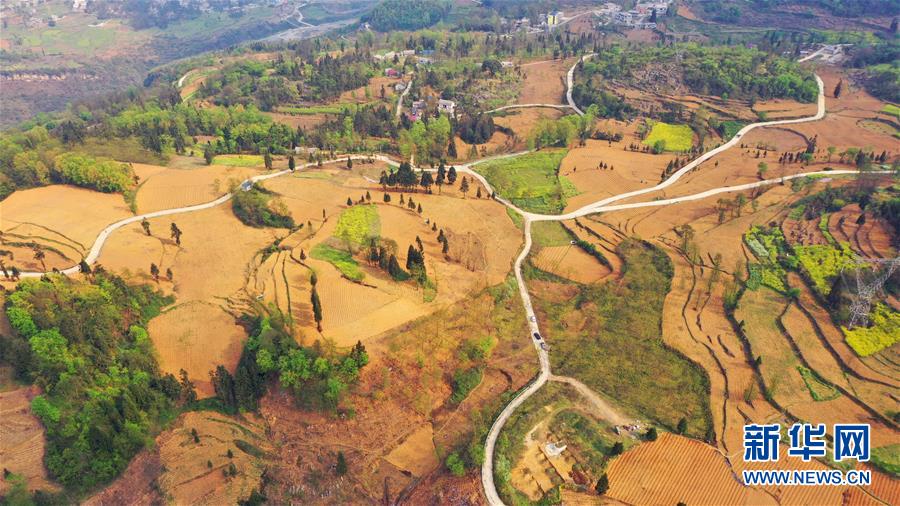 （決戰決勝脫貧攻堅&middot;圖文互動）（2）寄相思，償夙愿&mdash;&mdash;5封清明&ldquo;家書&rdquo;里的決戰決勝信念