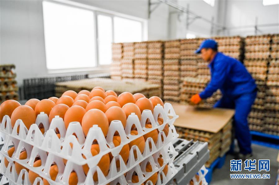 （新華全媒頭條&middot;圖文互動）（9）內蒙古貧困旗縣全部&ldquo;摘帽&rdquo;