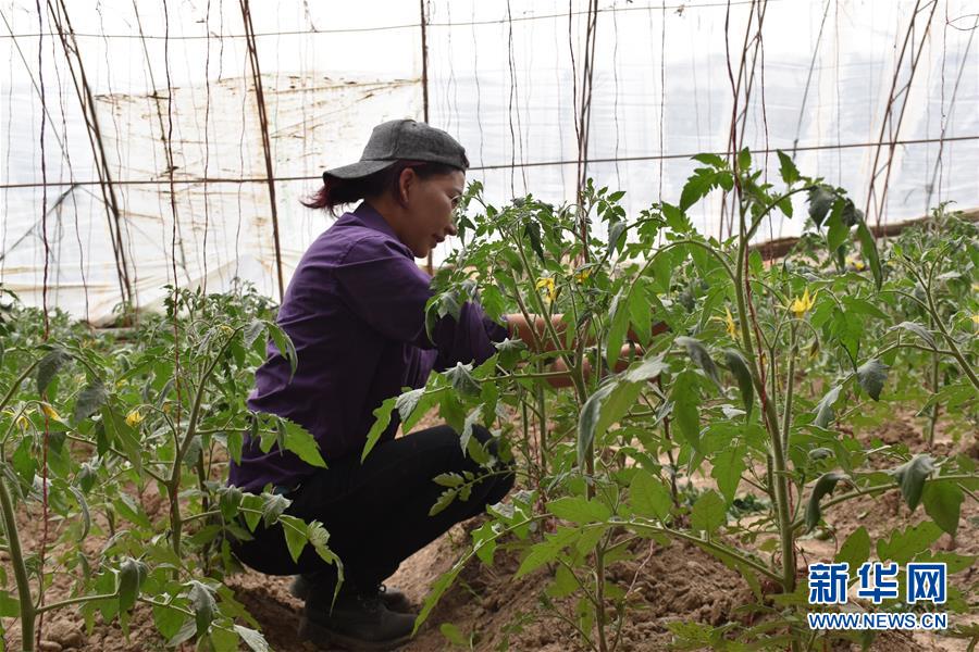 （圖文互動(dòng)）（2）&ldquo;桃花源&rdquo;里話豐年 &mdash;&mdash;帕米爾山區(qū)一處扶貧搬遷點(diǎn)見聞