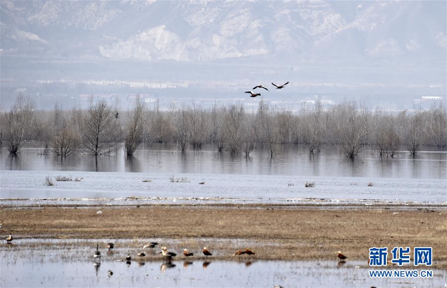 （圖文互動(dòng)）（3）這座小城，鐫刻下怎樣的&ldquo;世園印記&rdquo;&mdash;&mdash;北京世園會(huì)開(kāi)園一周年探訪(fǎng)延慶