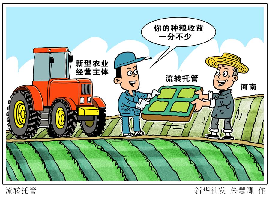 （圖表&middot;漫畫）［關注三夏］流轉托管