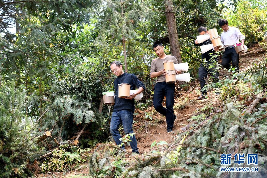 （決戰決勝脫貧攻堅&middot;圖文互動）（1）&ldquo;小蜂王&rdquo;的大夢想