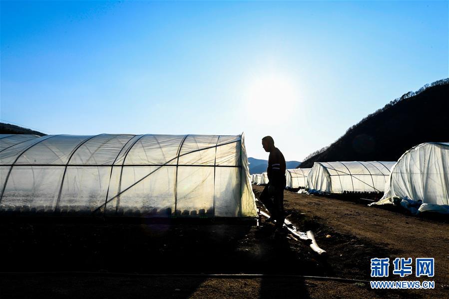 （決戰決勝脫貧攻堅&middot;圖文互動）（10）長白山下唱新篇&mdash;&mdash;吉林延邊州脫貧攻堅觀察