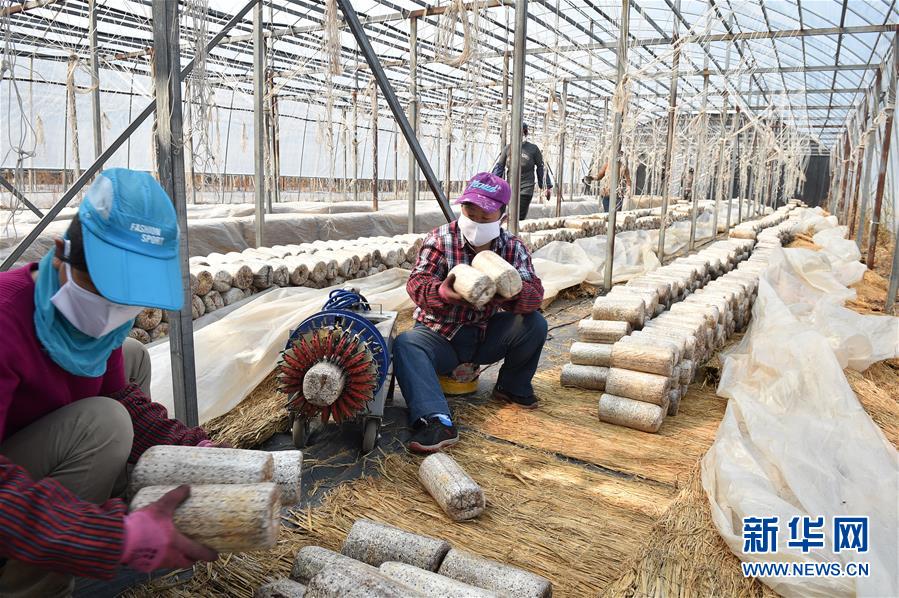 （決戰決勝脫貧攻堅&middot;圖文互動）（4）長白山下唱新篇&mdash;&mdash;吉林延邊州脫貧攻堅觀察