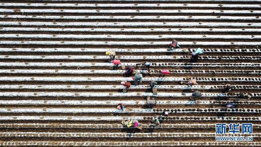 （在習近平新時代中國特色社會主義思想指引下&mdash;&mdash;新時代新作為新篇章&middot;習近平總書記關切事&middot;圖文互動）（2）讓每一寸耕地都成為豐收的沃土&mdash;&mdash;我國加強耕地保護推進&ldquo;藏糧于地&rdquo;