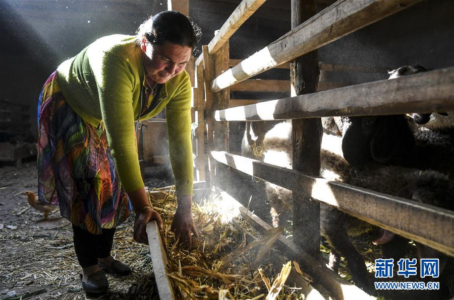 （圖文互動）（7）&ldquo;沙漠高地&rdquo;的美好家園