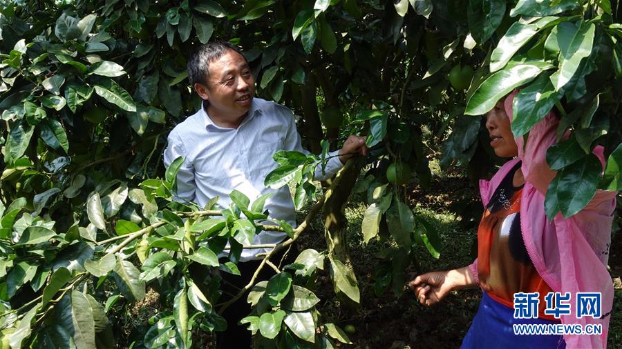 （新華網&middot;決戰決勝脫貧攻堅&middot;圖文互動）（1）貴州思南：強村帶弱村 &ldquo;抱團&rdquo;促增收