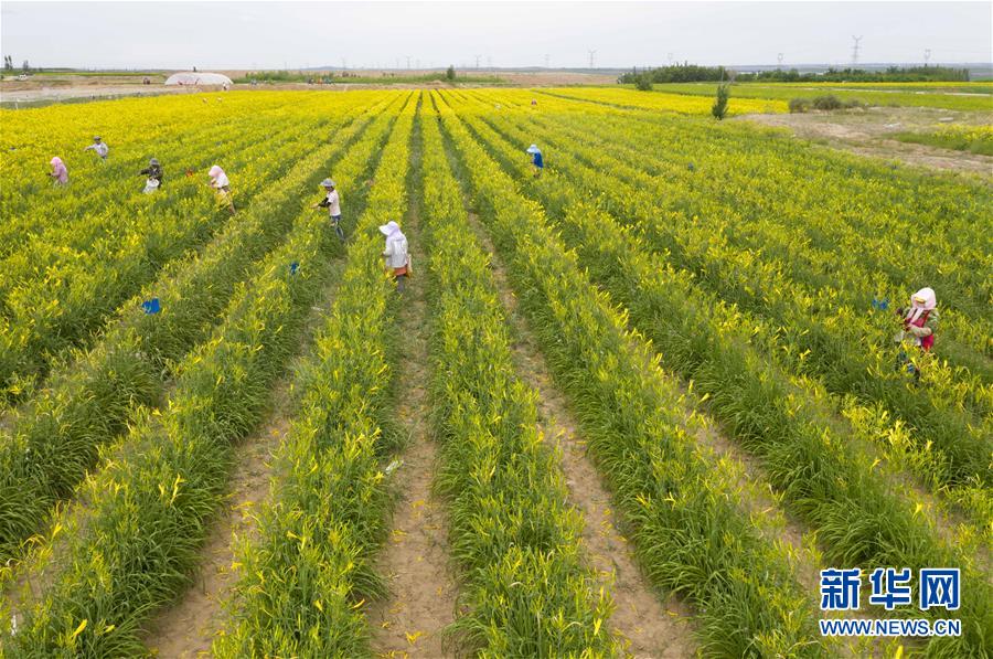 （新華全媒頭條&middot;走向我們的小康生活&middot;圖文互動）（11）23萬人的命運轉折&mdash;&mdash;我國最大易地生態移民安置區的脫貧密碼