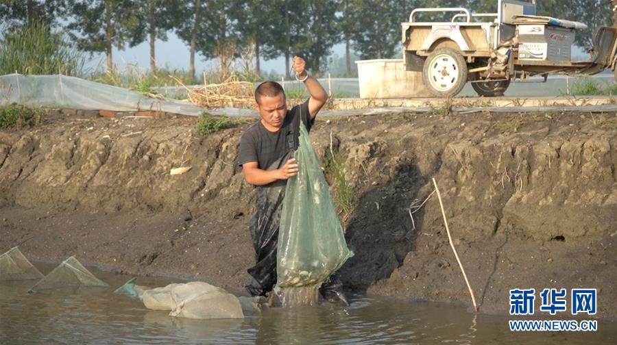 （鄉村振興&middot;圖文互動）（2）歡喜莊的&ldquo;歡喜事&rdquo;
