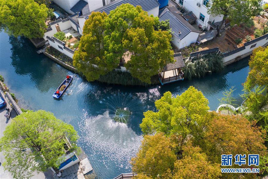 （新華全媒頭條&middot;圖文互動）（12）生態文明之光照耀美麗中國&mdash;&mdash;寫在綠水青山就是金山銀山理念提出15周年之際