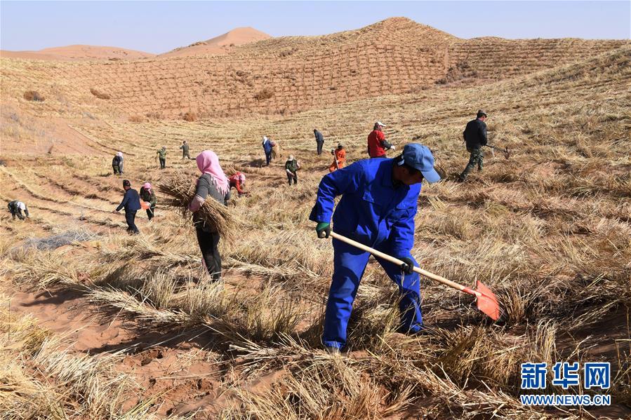 （新華全媒頭條&middot;走向我們的小康生活&middot;圖文互動(dòng)）（6）&ldquo;苦甲&rdquo;不再，&ldquo;甘味&rdquo;綿長(zhǎng)&mdash;&mdash;脫貧攻堅(jiān)的甘肅味道