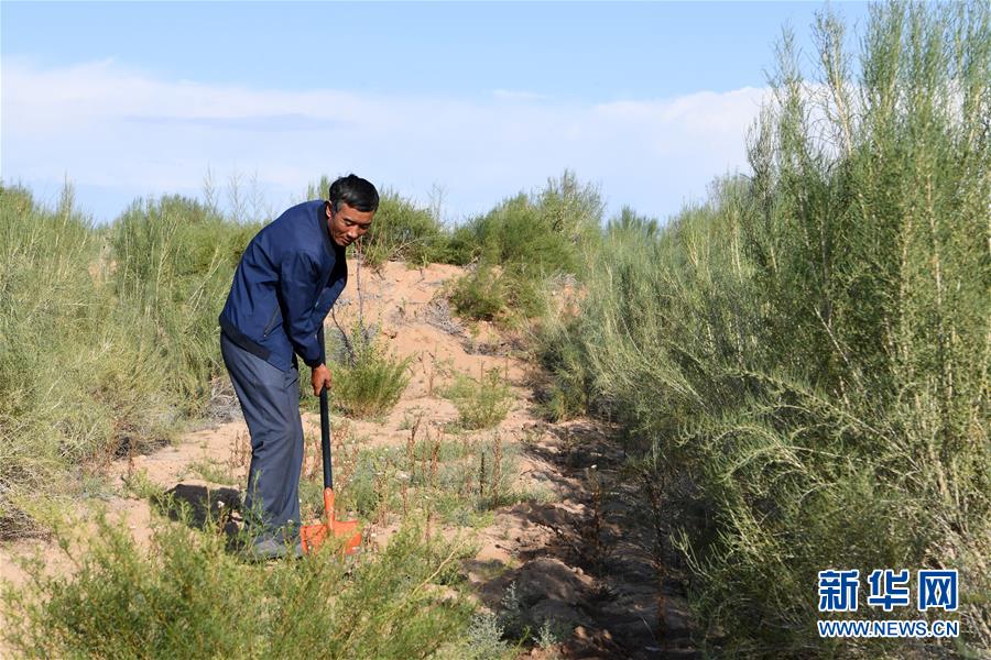 （新華全媒頭條&middot;走向我們的小康生活&middot;圖文互動(dòng)）（8）&ldquo;苦甲&rdquo;不再，&ldquo;甘味&rdquo;綿長(zhǎng)&mdash;&mdash;脫貧攻堅(jiān)的甘肅味道
