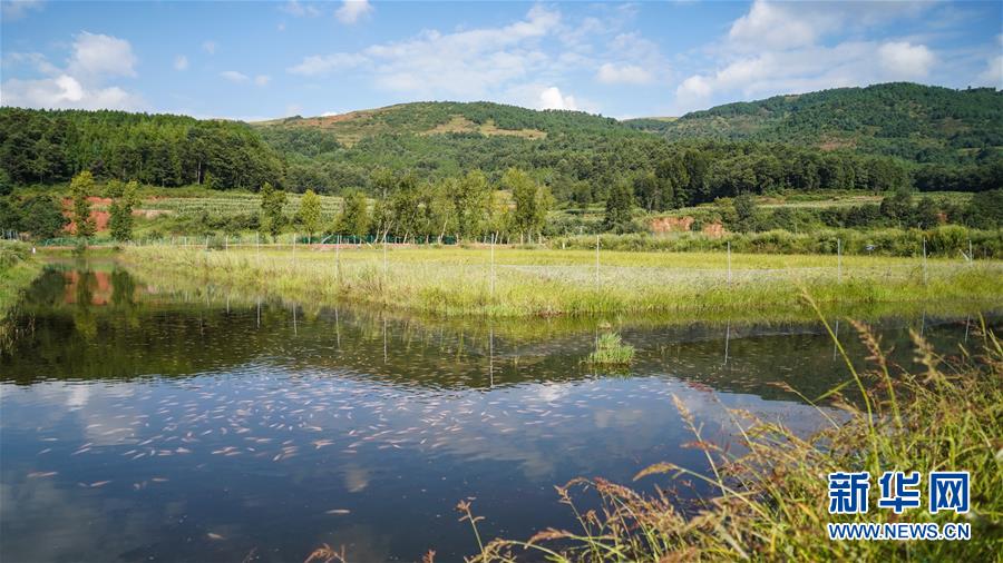 （新華全媒頭條&middot;決戰決勝脫貧攻堅&middot;督戰未摘帽貧困縣&middot;圖文互動）（4）苦蕎花開大涼山&mdash;&mdash;四川7個未摘帽縣脫貧攻堅一線觀察