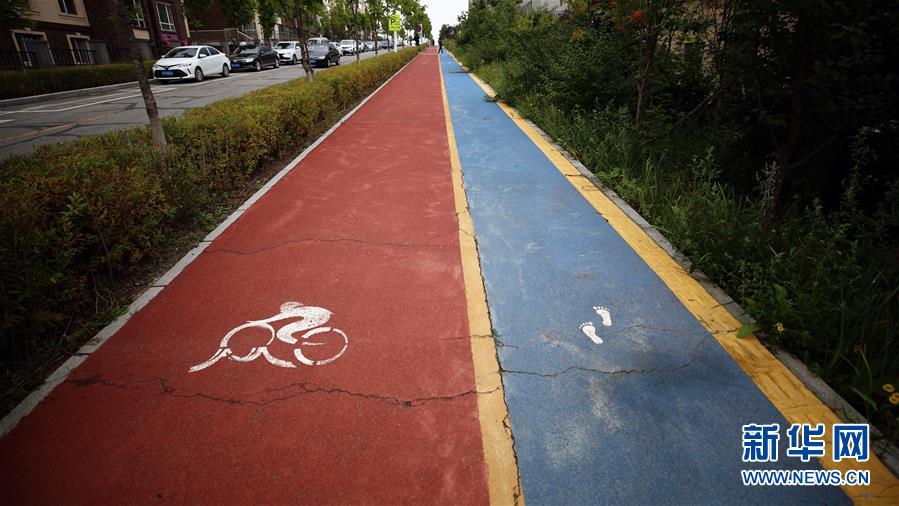 （圖文互動）（9）長白山60年書寫&ldquo;生態答卷&rdquo;