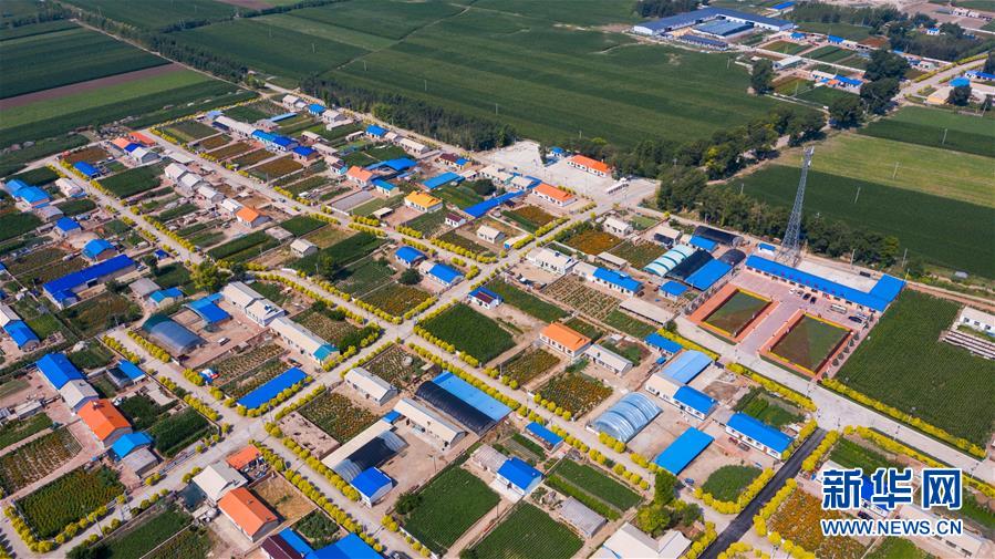 （新華全媒頭條&middot;走向我們的小康生活&middot;圖文互動）（1）黑土地上是我家&mdash;&mdash;在吉林，一瞥中國東北鄉村美麗未來