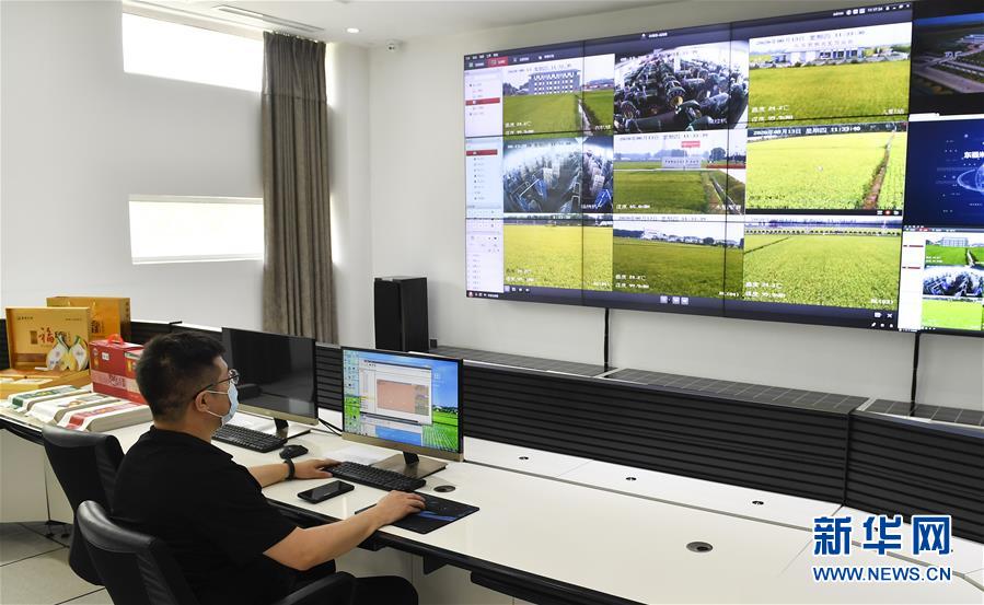 （新華全媒頭條&middot;走向我們的小康生活&middot;圖文互動）（4）黑土地上是我家&mdash;&mdash;在吉林，一瞥中國東北鄉村美麗未來