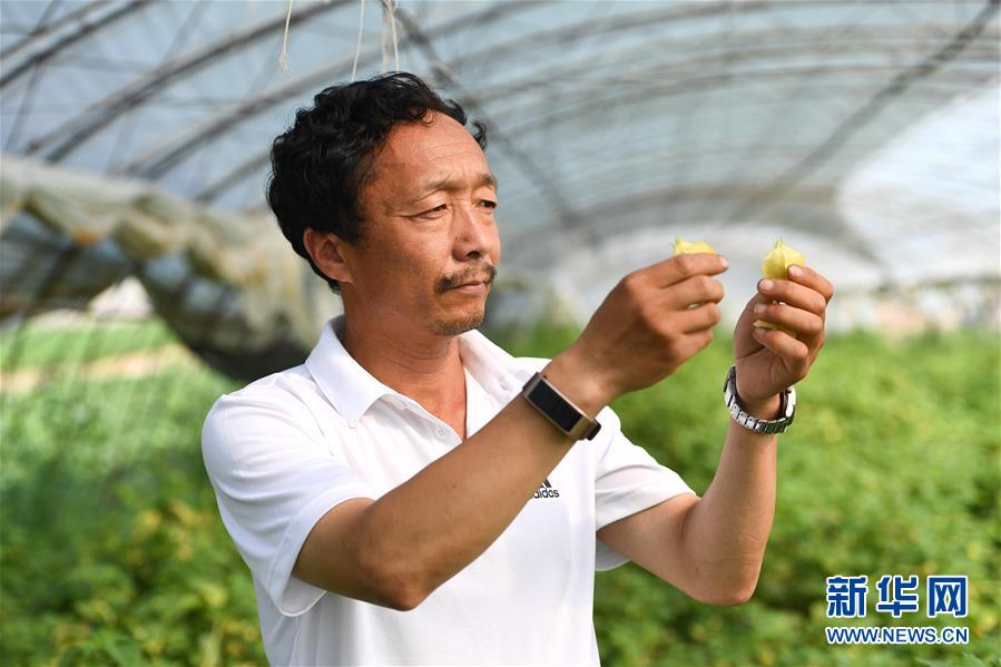 （新華全媒頭條&middot;走向我們的小康生活&middot;圖文互動）（7）黑土地上是我家&mdash;&mdash;在吉林，一瞥中國東北鄉村美麗未來