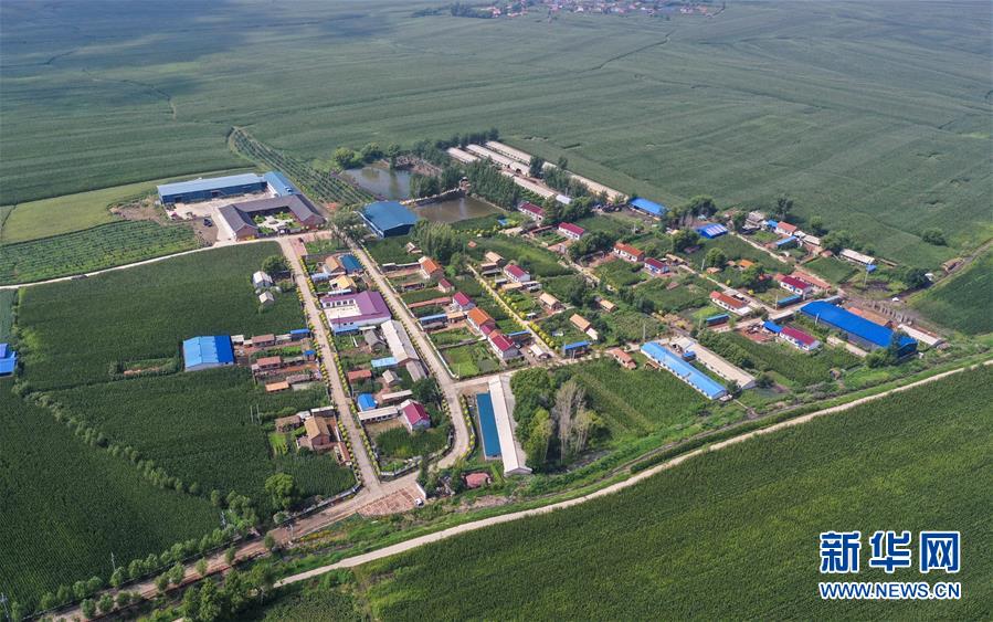 （新華全媒頭條&middot;走向我們的小康生活&middot;圖文互動）（12）黑土地上是我家&mdash;&mdash;在吉林，一瞥中國東北鄉村美麗未來