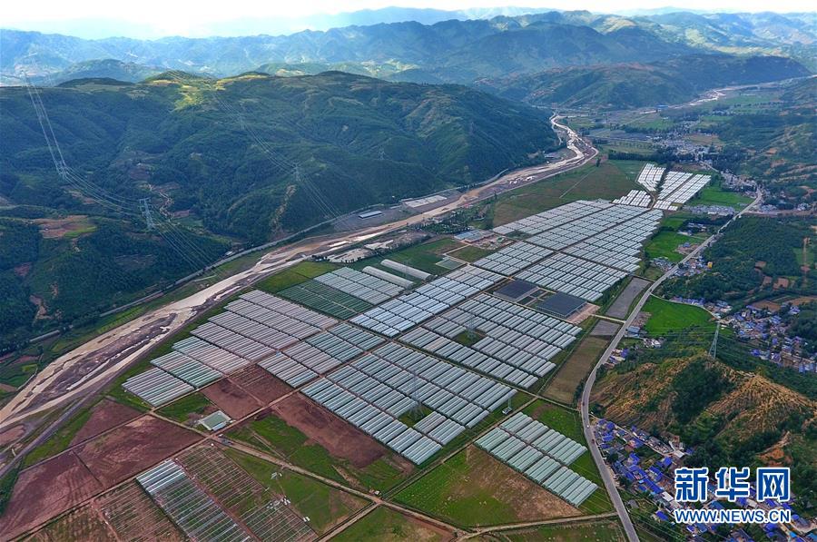 （走向我們的小康生活&middot;決戰(zhàn)決勝脫貧攻堅&middot;圖文互動）（2）把產業(yè)興盛之&ldquo;根&rdquo;扎進大涼山