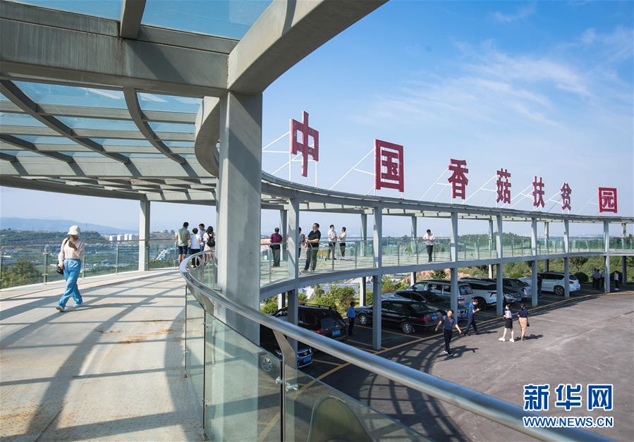 （新華全媒頭條&middot;走向我們的小康生活&middot;圖文互動）（2）特殊之年，荊楚大地書寫不平凡的答卷