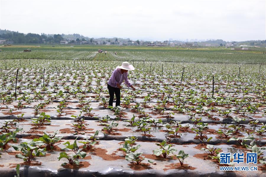 （新華全媒頭條&middot;走向我們的小康生活&middot;決戰決勝脫貧攻堅&middot;圖文互動）（3）千年之渴今朝解&mdash;&mdash;貴州貧困群眾實現&ldquo;吃水不愁&rdquo;