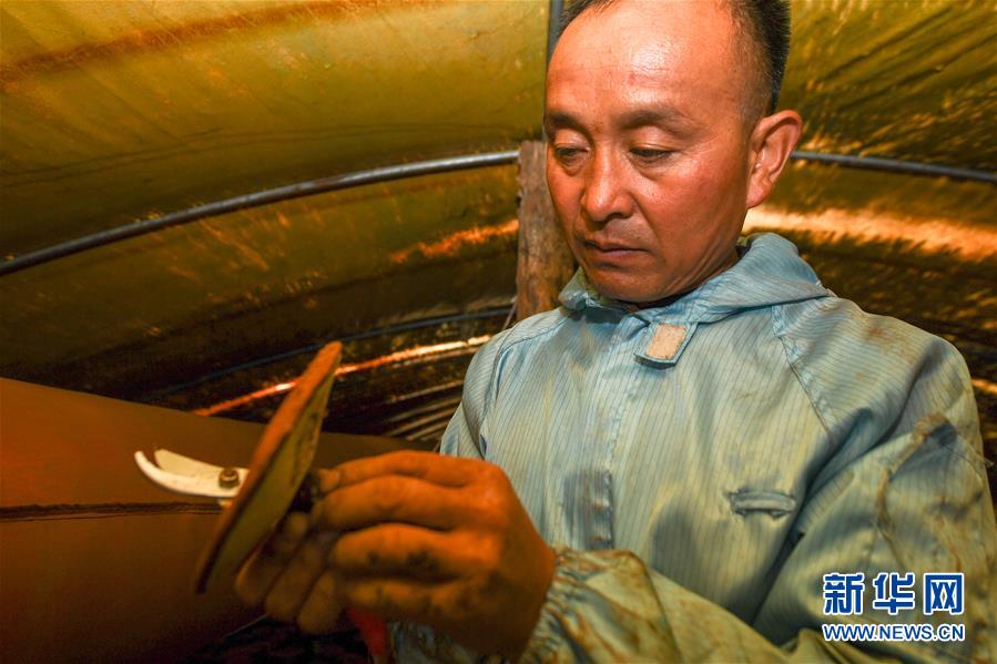 （決戰決勝脫貧攻堅&middot;圖文互動）（3）從&ldquo;因殘致貧&rdquo;到&ldquo;帶頭脫貧&rdquo;&mdash;&mdash;吉林靖宇有這樣一位&ldquo;脫貧英雄&rdquo;