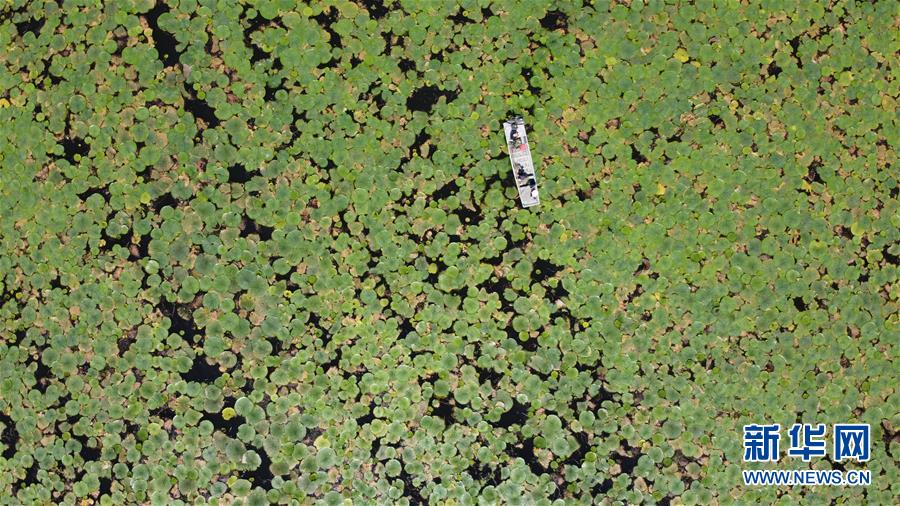 （新華全媒頭條&middot;圖文互動）（3）長淮新&ldquo;斗水&rdquo;記&mdash;&mdash;寫在新中國治淮70年之時