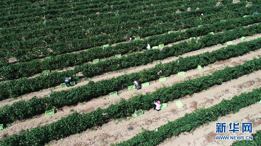 （新華全媒頭條&middot;百萬大移民&middot;圖文互動）（8）從大山深處到大河之畔&mdash;&mdash;寧夏持續移民百萬&ldquo;拔窮根&rdquo;啟示