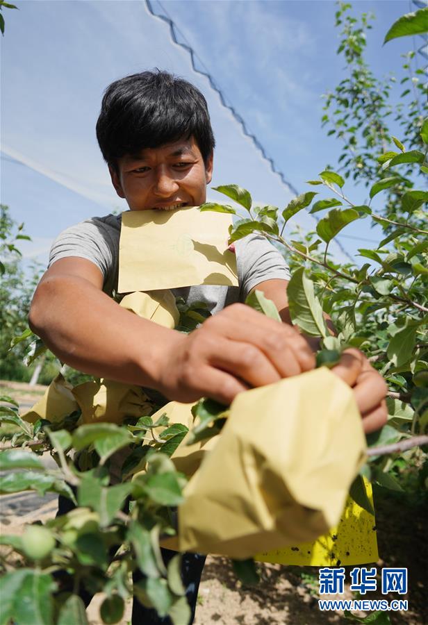（習近平的小康故事&middot;圖文互動）（2）&ldquo;我很期盼的一件事，就是讓鄉親們飽餐一頓肉&rdquo;&mdash;&mdash;習近平和脫貧攻堅的故事