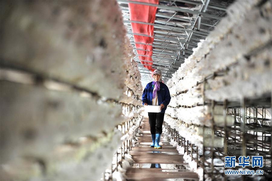 （習近平的小康故事&middot;圖文互動）（6）&ldquo;我很期盼的一件事，就是讓鄉親們飽餐一頓肉&rdquo;&mdash;&mdash;習近平和脫貧攻堅的故事