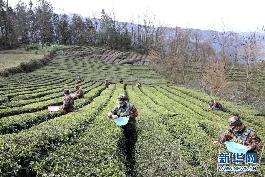 （圖文互動(dòng)）（2）百舸爭(zhēng)流千帆競(jìng)&mdash;&mdash;&ldquo;十三五&rdquo;期間國(guó)防動(dòng)員事業(yè)取得歷史性突破
