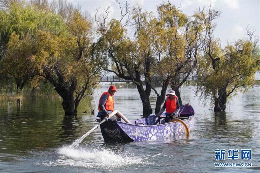 （新華全媒頭條&middot;五中全會精神在基層&middot;圖文互動）（9）奮發(fā)新青年　逐夢新征程&mdash;&mdash;各地青年學(xué)習(xí)貫徹落實五中全會精神觀察