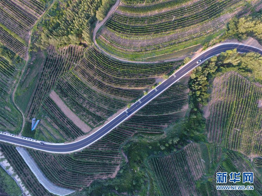 （新華全媒頭條&middot;圖文互動(dòng)）（5）心系北疆　情滿(mǎn)草原&mdash;&mdash;習(xí)近平總書(shū)記考察內(nèi)蒙古回訪(fǎng)記