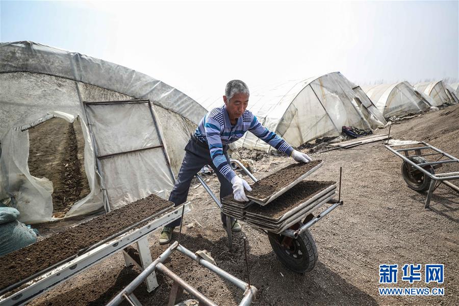 （在習近平新時代中國特色社會主義思想指引下&mdash;&mdash;新時代新作為新篇章&middot;習近平總書記關切事&middot;圖文互動）（5）春耕忙 信心足&mdash;&mdash;谷雨時節走馬東北直擊糧事