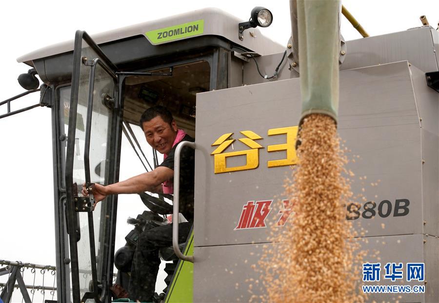 （在習(xí)近平新時(shí)代中國特色社會主義思想指引下&mdash;&mdash;新時(shí)代新作為新篇章&middot;習(xí)近平總書記關(guān)切事&middot;圖文互動）（3）食為政首&mdash;&mdash;穩(wěn)住農(nóng)業(yè)基本盤增添發(fā)展底氣