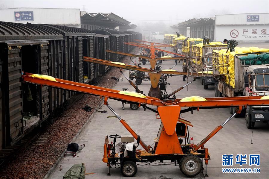 （在習(xí)近平新時(shí)代中國特色社會主義思想指引下&mdash;&mdash;新時(shí)代新作為新篇章&middot;習(xí)近平總書記關(guān)切事&middot;圖文互動）（5）食為政首&mdash;&mdash;穩(wěn)住農(nóng)業(yè)基本盤增添發(fā)展底氣