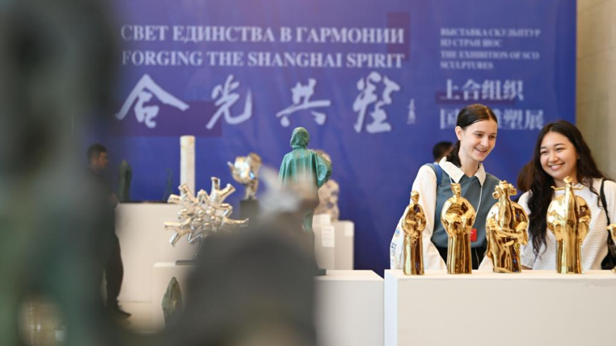 照亮人類共同未來——全球文明倡議的世界共鳴