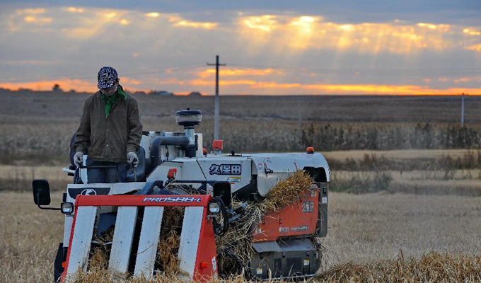&ldquo;天下糧倉&rdquo;秋收圖