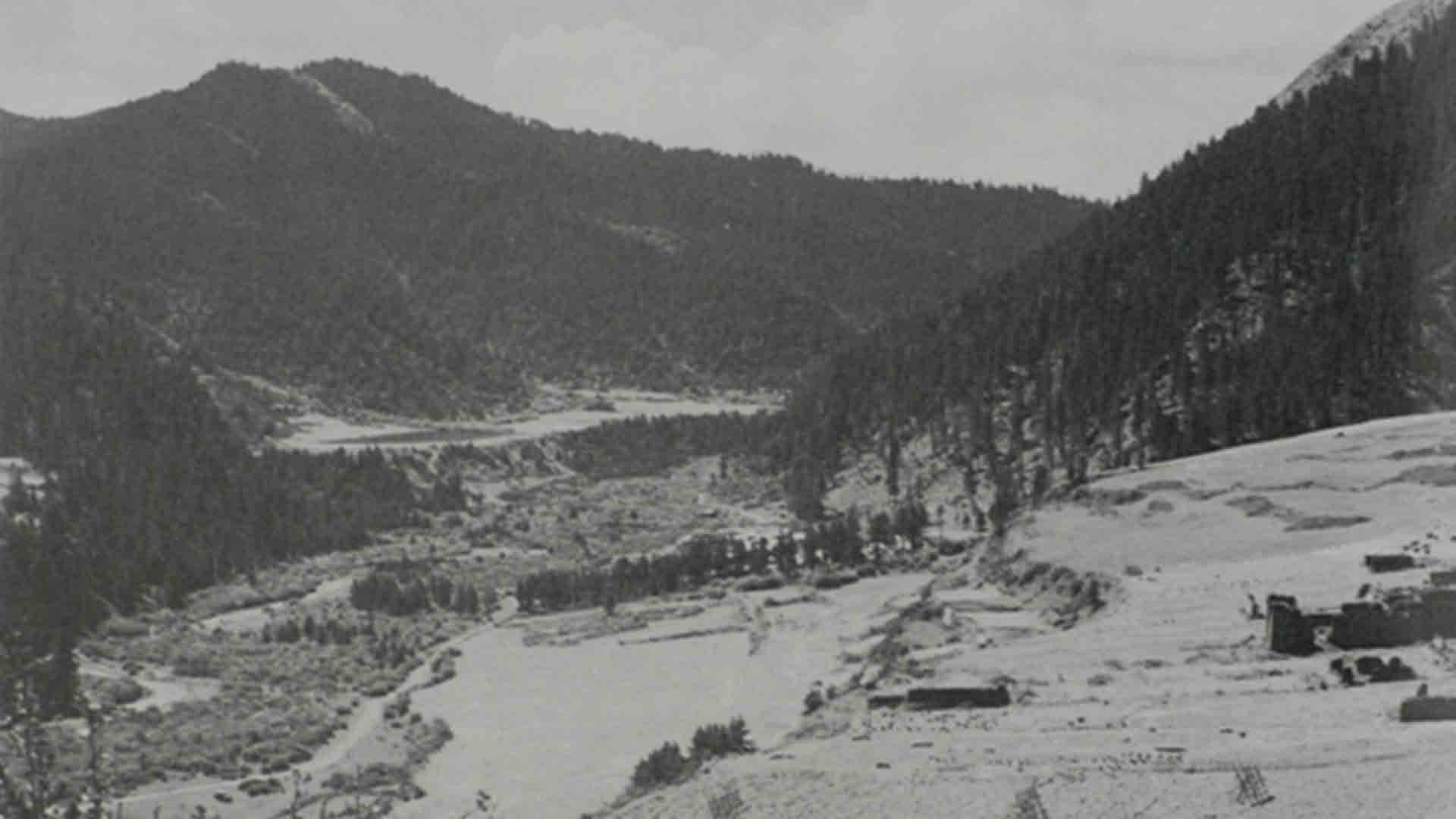 南下還是北上，決定革命前途的關鍵之爭