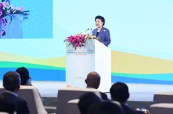 劉延東出席&ldquo;一帶一路&rdquo;暨&ldquo;健康絲綢之路&rdquo;高級別研討會