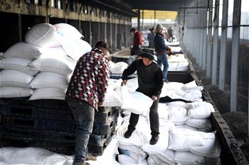 安徽：農資&ldquo;春運&rdquo;助春耕