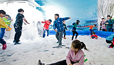 首屆中國(guó)冰雪大會(huì)在京開幕