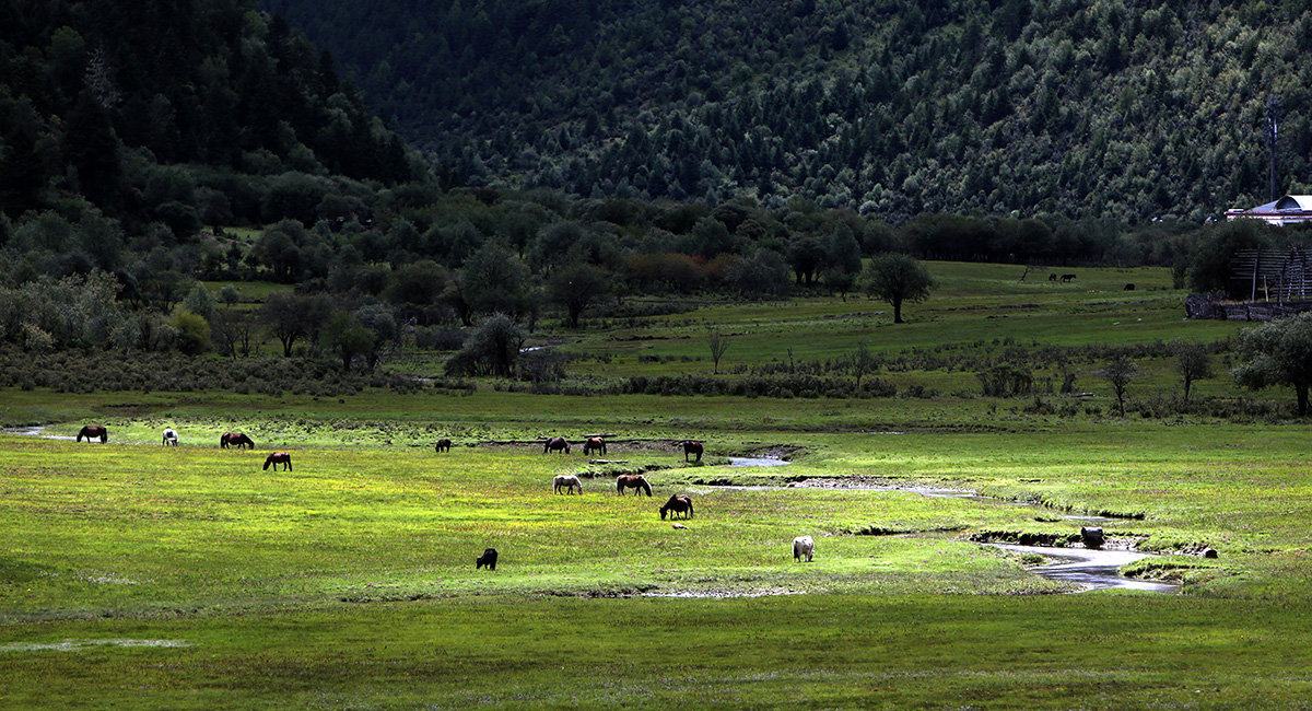 云南&ldquo;三江并流&rdquo;地區決戰精準脫貧的&ldquo;生態畫卷&rdquo;