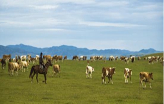 華能北方公司：奔小康，咱肯定能