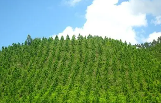 固態鋰電池疲勞失效機制被揭示