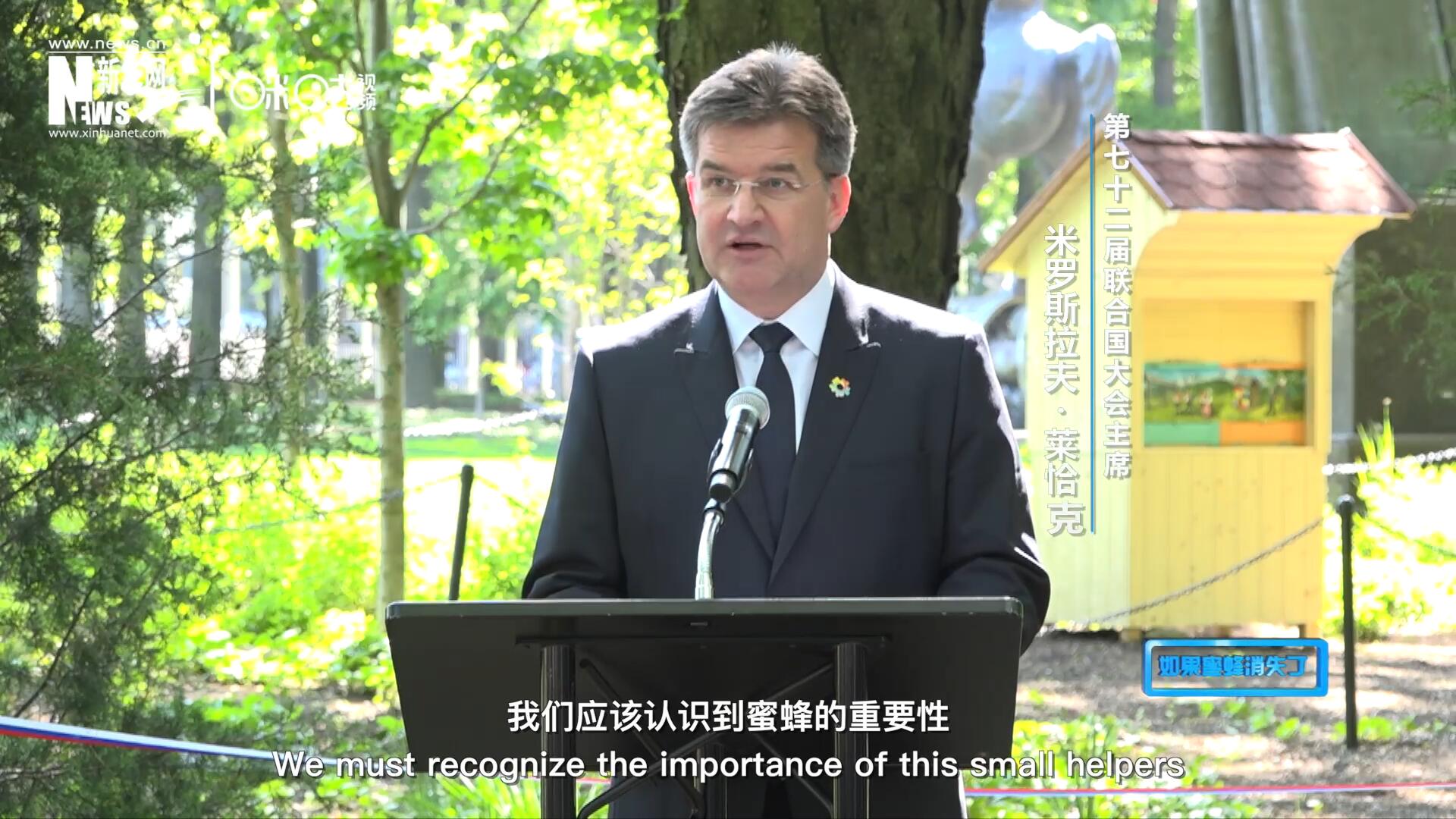 我們應該認識到蜜蜂的重要性，所以我們用&ldquo;世界蜜蜂日&rdquo;提高大家保護蜜蜂的意識，并且用實際行動去保護蜜蜂