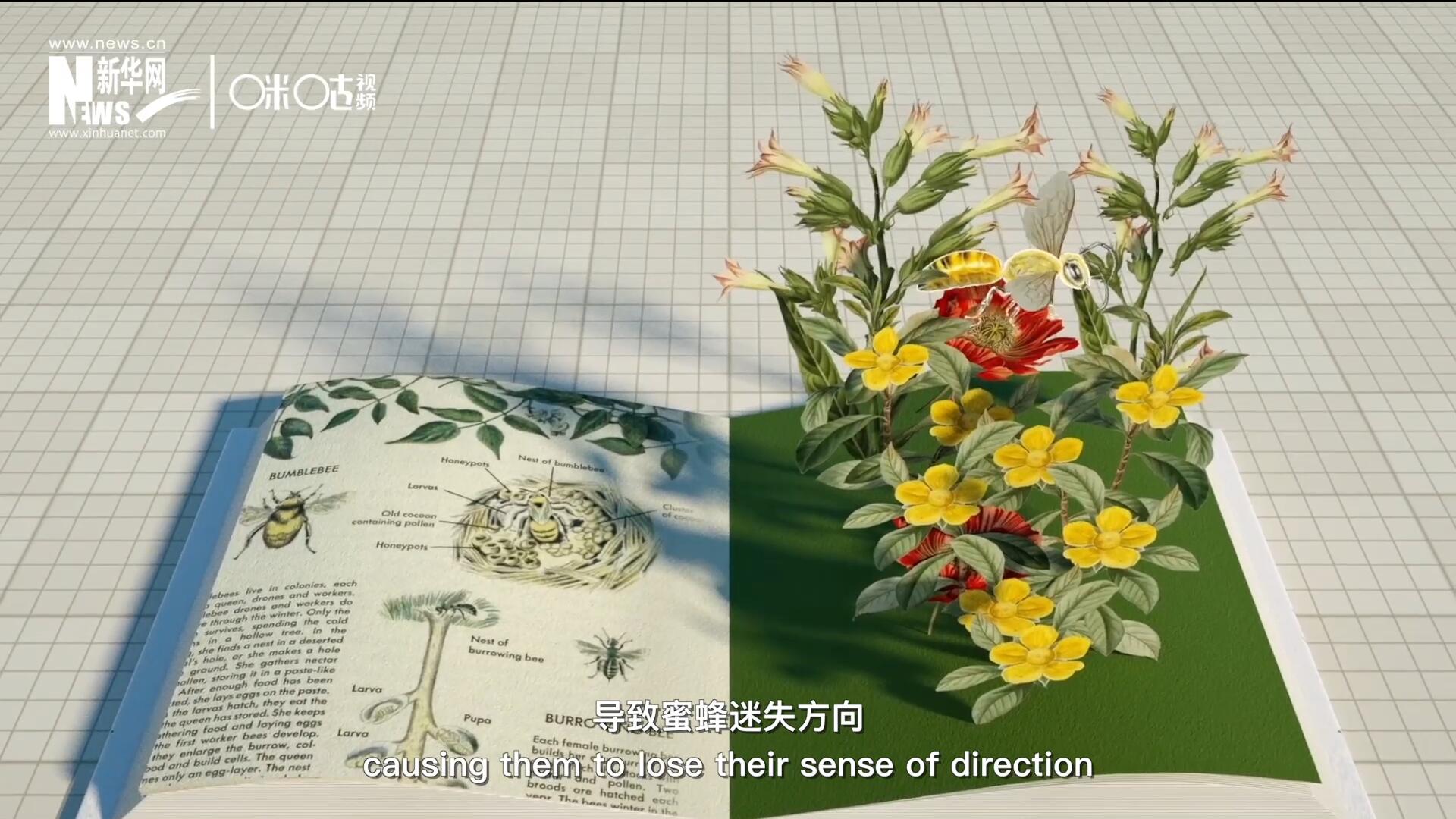 殺蟲劑會破壞蜜蜂的神經系統，導致蜜蜂迷失方向，無法回到蜂房，還會降低蜜蜂的抵抗力