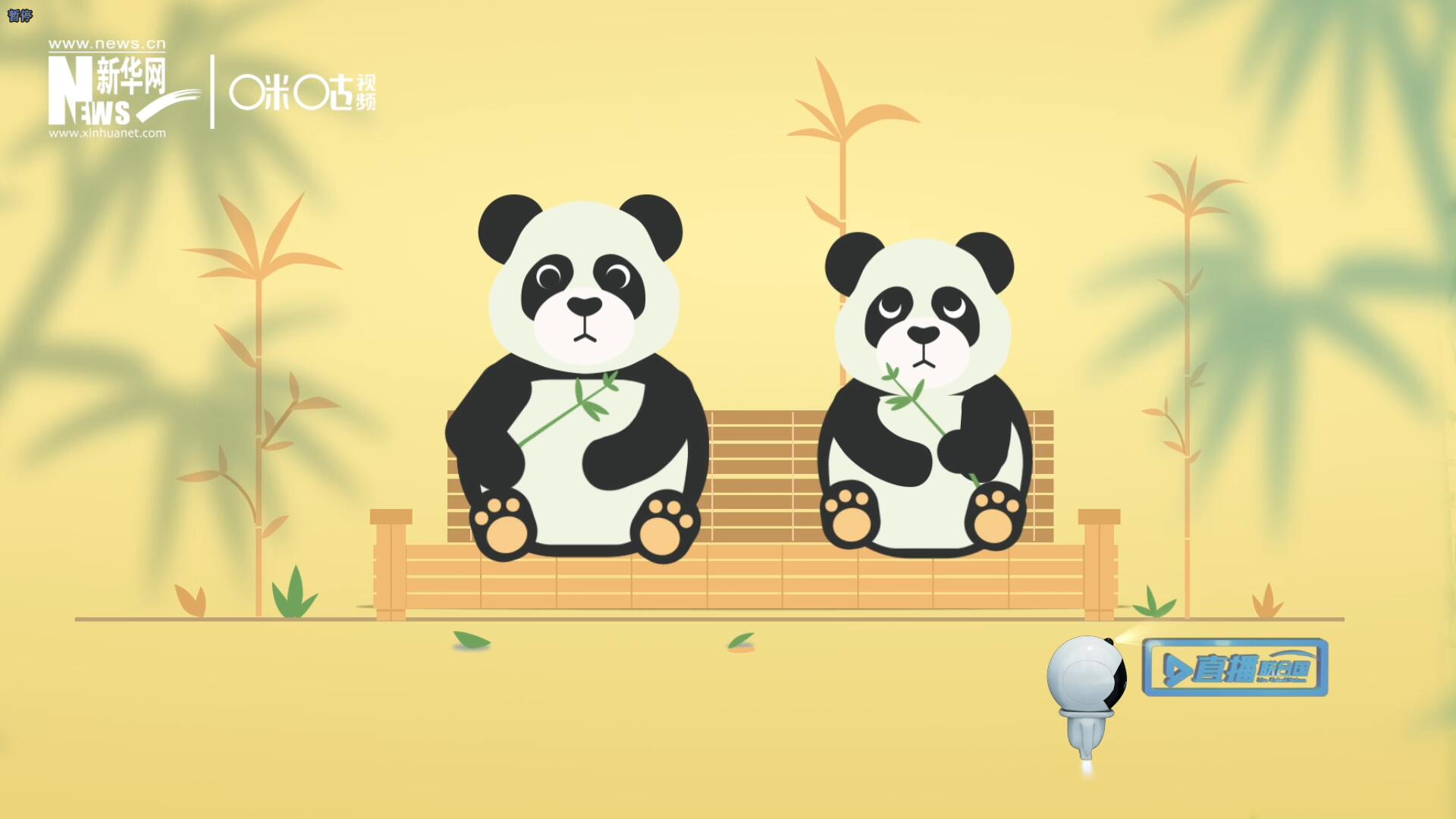 &ldquo;哥哥你看，又有人來(lái)看我們了。&rdquo;&ldquo;有什么奇怪的，我們可是聯(lián)合國(guó)&lsquo;最萌&rsquo;的大使啊！&rdquo;。